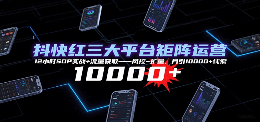 抖快红三大平台矩阵运营,12小时SOP实战+流量获取-风控-扩量,月引10000+线索-心语项目网