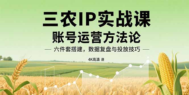 三农IP实战课：账号运营方法论，六件套搭建，数据复盘与投放技巧-心语项目网