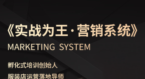 老杨·服装老板必修课《实战为王-营销系统》实现业绩被动式增长-心语项目网