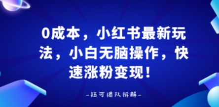 0成本，小红书最新玩法，小白无脑操作，快速涨粉变现-心语项目网