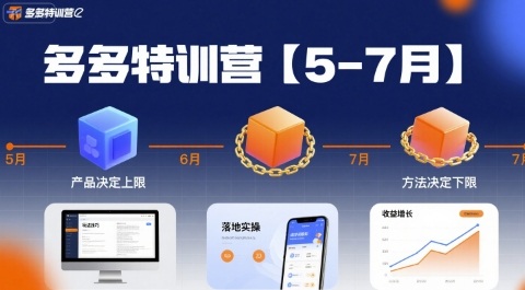 多多特训营，产品决定上限，方法决定下限，各种玩法技巧落地实操(更新)-心语项目网