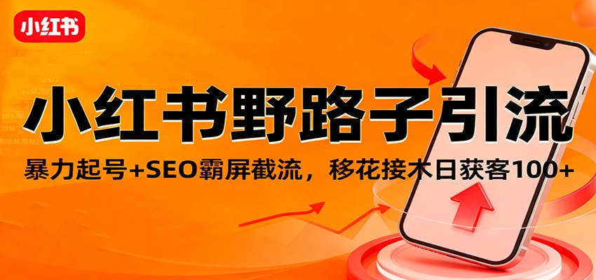 小红书野路子引流,暴力起号+SEO霸屏截流,移花接木日获客100+-心语项目网