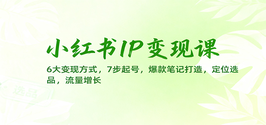 小红书IP变现课:6大变现方式,7步起号,爆款笔记打造,定位选品,流量增长-心语项目网