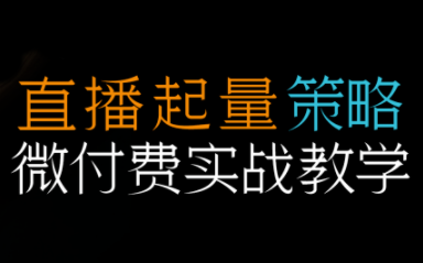 半野老师·直播带货起量与微付费必学课视频号-心语项目网