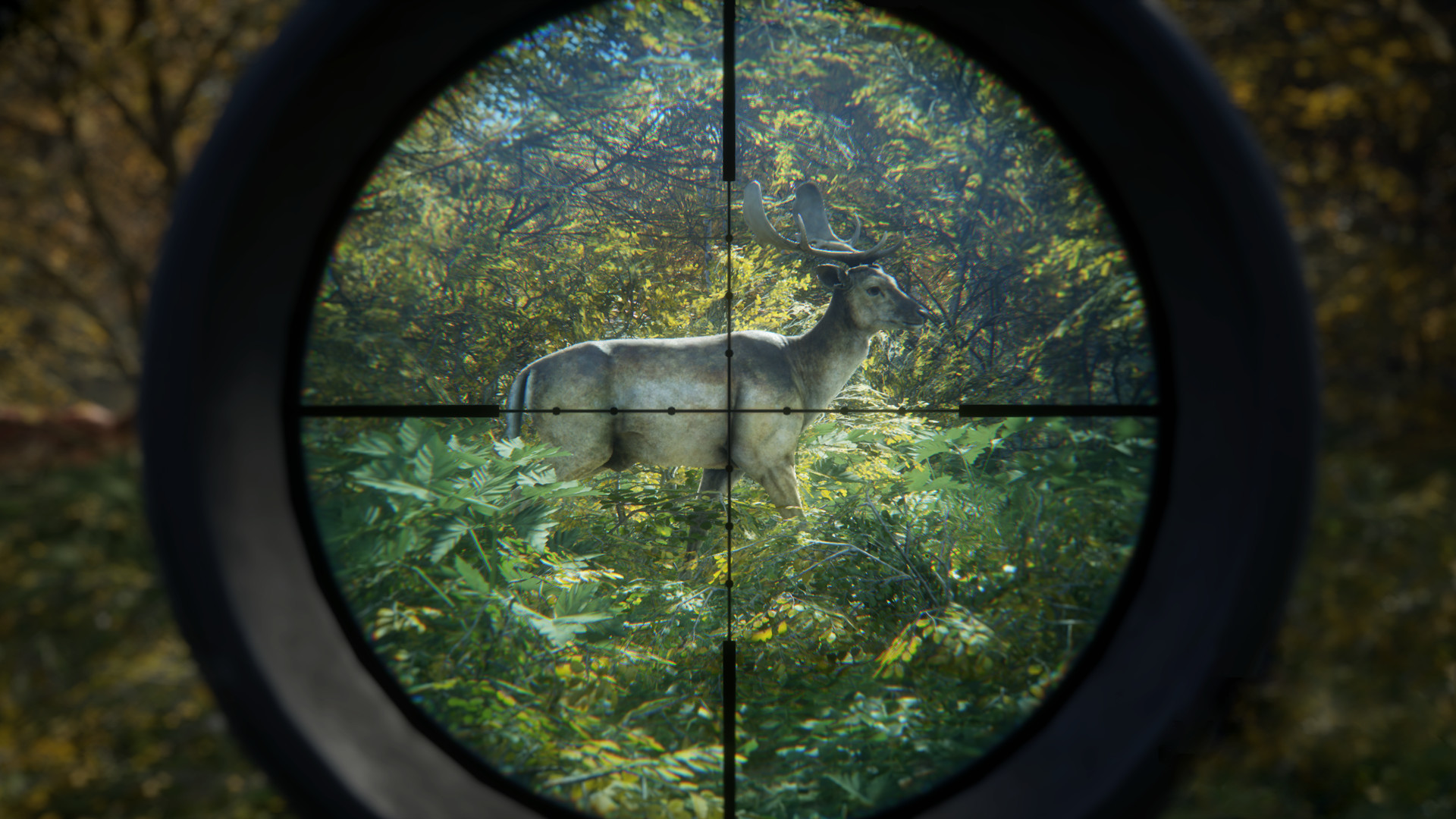 《猎人:荒野的召唤/theHunter: Call of the Wild》PC中文版下载-含v3101875-心语项目网