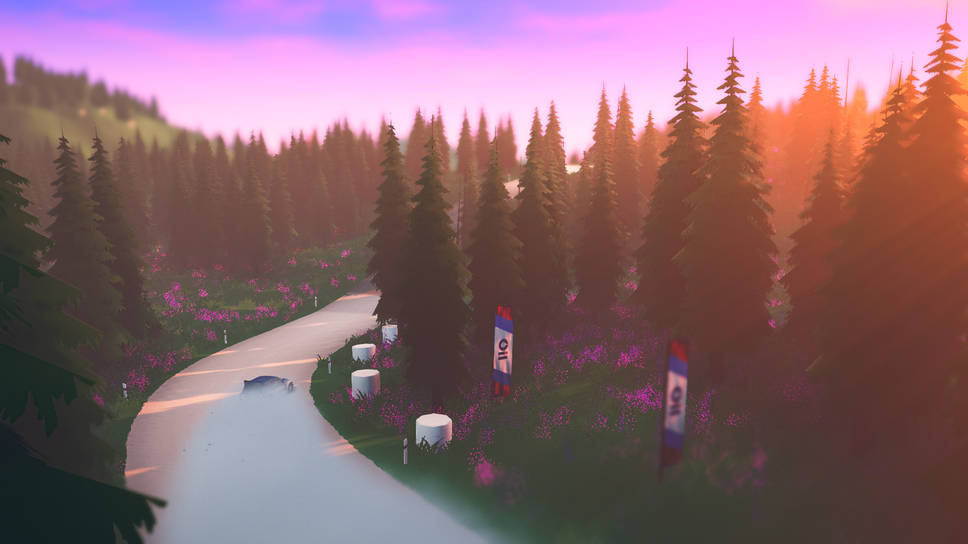 《拉力赛艺术 art of rally》Switch中文版NSZ下载 – 含1.1.9补丁-心语项目网
