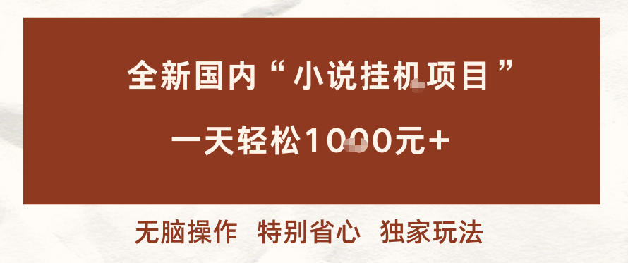 全新国内小说挂G项目，多窗口无脑跑，一天轻松1k+，特别省心【揭秘】-心语项目网