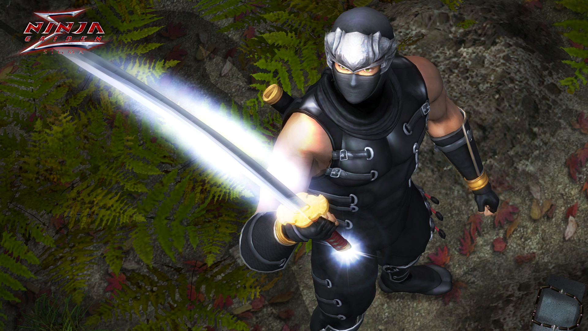 《忍者龙剑传:大师合集/NINJA GAIDEN: Master Collection》PC中文版下载-含v1.0.0.3-心语项目网