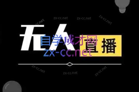 宝子哥·无人直播-非实时防风技术(更新2026)-心语项目网