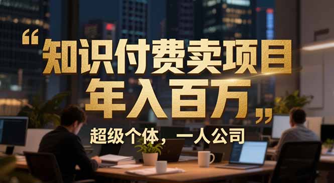 从0到年入百万：超级个体实战心得公开，个人IP×精准引流×成交系统全拆解-心语项目网