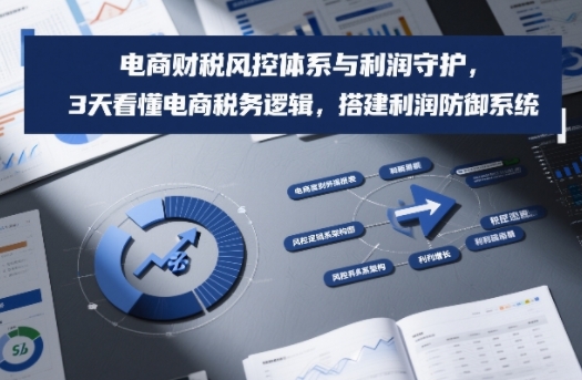 电商财税风控体系与利润守护，3天看懂电商税务逻辑，搭建利润防御系统-心语项目网