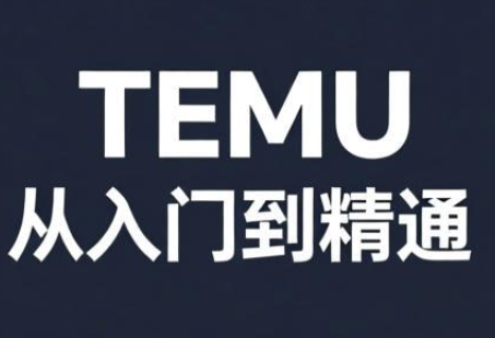 跨境麦冬·TEMU从入门到精通-心语项目网