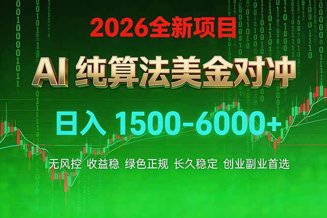2026 全新美金对冲项目，不套平台赠金，不封号，纯算法对冲，日入 1500-6000+-心语项目网
