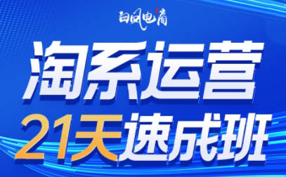白凤电商·淘系运营21天速成班(更新2月)-心语项目网