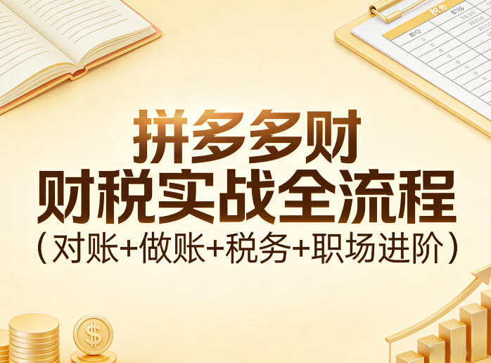 拼多多财税实战全流程(对账+做账+税务+职场进阶)-心语项目网