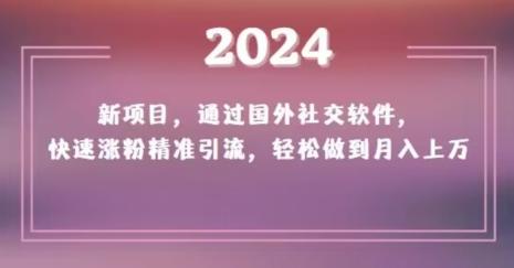 2024新项目，通过国外社交软件，快速涨粉精准引流，轻松做到月入上万【揭秘】-心语项目网