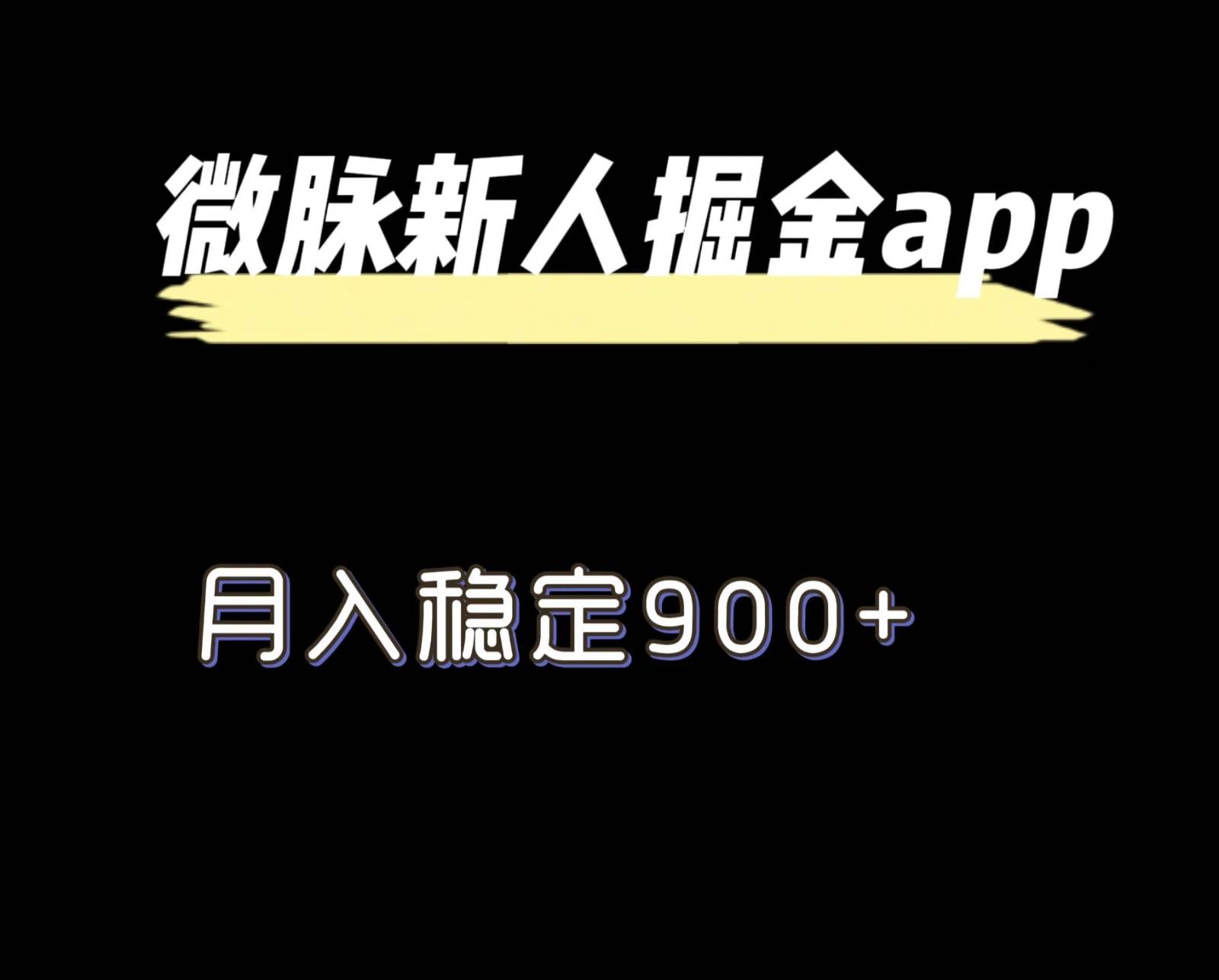 最新微脉长久项目，拉新掘金，月入稳定900+-心语项目网