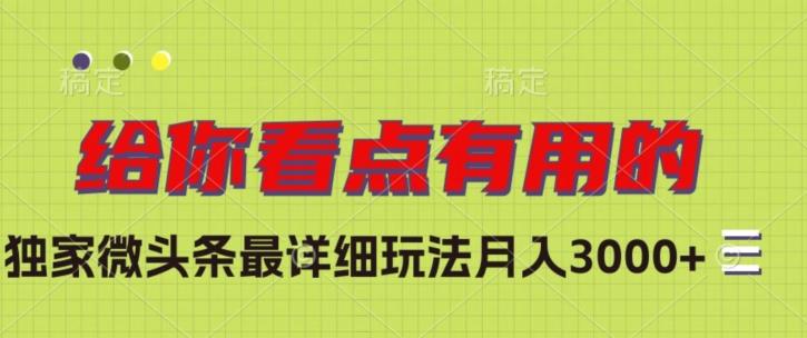 独家微头条最详细玩法，月入3000+【揭秘】-心语项目网