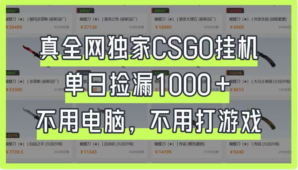 真全网独家CSGO挂机，单日捡漏1000+，不用电脑，不用养号-心语项目网