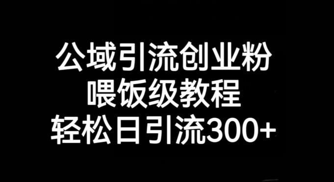 公域引流创业粉，喂饭级教程，轻松日引流300+【揭秘】-心语项目网