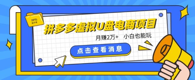 拼多多虚拟U盘电商红利项目：月赚2万+，新手小白也能玩-心语项目网