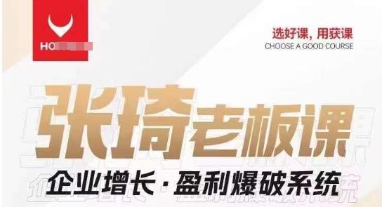 【组合课】张琦张琦老板企业增长·盈利爆破系统（直播专享）-心语项目网