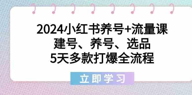 2024小红书养号+流量课:建号、养号、选品,5天多款打爆全流程-心语项目网