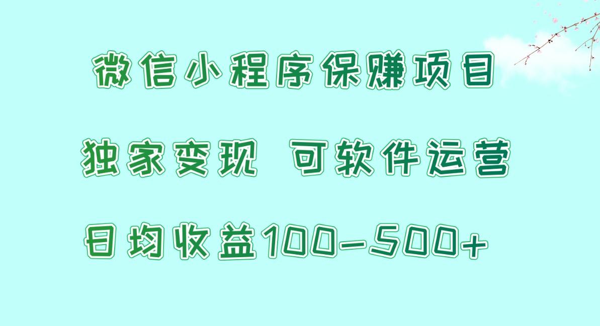 微信小程序保赚项目，日均收益100~500+，独家变现，可软件运营-心语项目网
