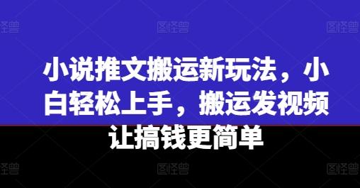 小说推文搬运新玩法，小白轻松上手，搬运发视频让搞钱更简单-心语项目网