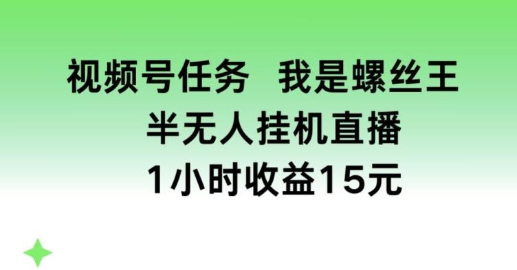 视频号任务，我是螺丝王， 半无人挂机1小时收益15元【揭秘】-心语项目网