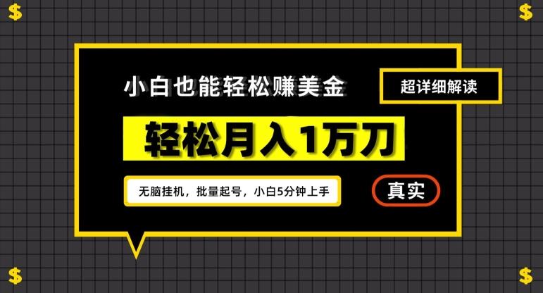 谷歌看广告撸美金2.0，无脑挂机，多号操作，月入1万刀【揭秘】-心语项目网