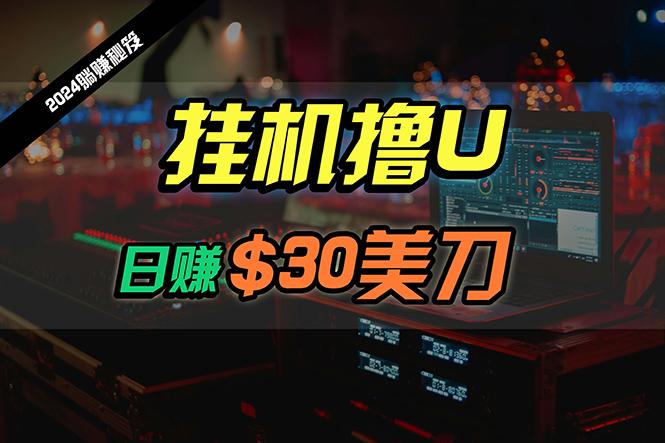 (10013期)日赚30美刀，2024最新海外挂机撸U内部项目，全程无人值守，可批量放大-心语项目网