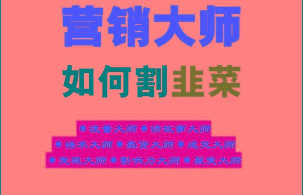 《营销大师如何割韭菜》禁止外传的大师绝学电子书-心语项目网