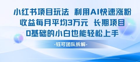 适合小白操作的小红书新项目，利用AI快速涨粉，收益每月平均1W+-心语项目网