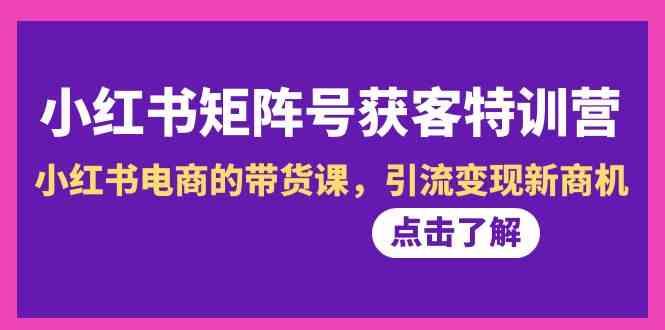 小红书矩阵号获客特训营-第10期，小红书电商的带货课，引流变现新商机-心语项目网