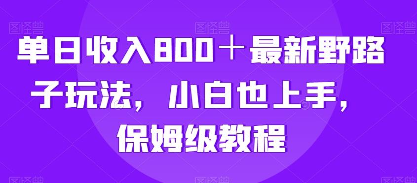 单日收入800＋最新野路子玩法，小白也上手，保姆级教程-心语项目网