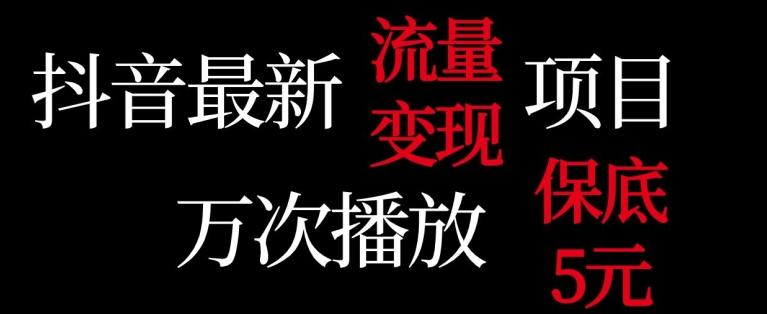 抖音流量变现，万次播放保底5元，额外收入-心语项目网