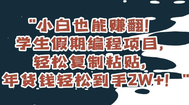 小白也能赚翻！学生假期编程项目，轻松复制粘贴，年货钱轻松到手2W+【揭秘】-心语项目网