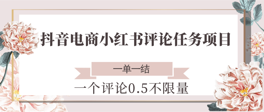 抖音电商小红书评论任务项目,一个评论0.5,一单一结 不限量-心语项目网