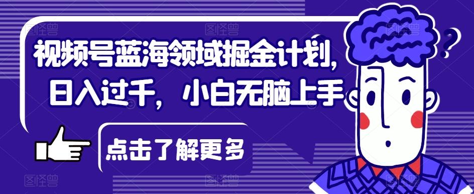 视频号蓝海领域掘金计划，日入过千，小白无脑上手【揭秘】-心语项目网