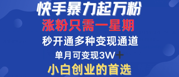 快手暴力起万粉，涨粉只需一星期，多种变现模式，直接秒开万合，单月变现过W【揭秘】-心语项目网