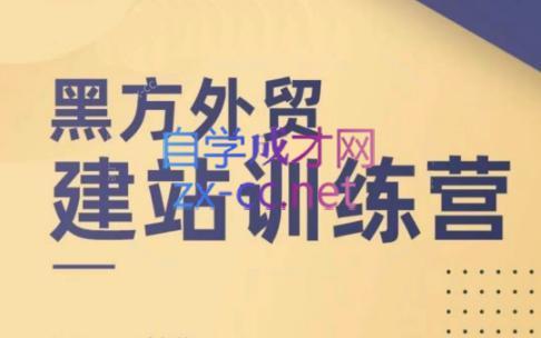 黑方老师·谷歌B端独立站建站推广-心语项目网
