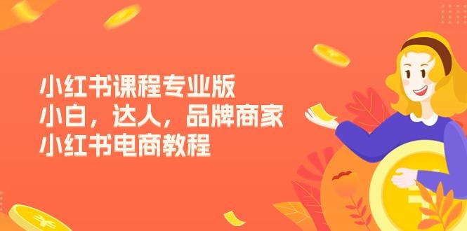 小红书课程专业版，小白，达人，品牌商家，小红书电商教程(15节-心语项目网