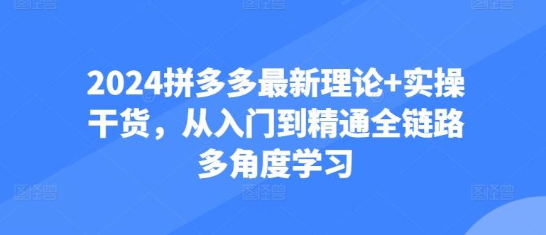2024拼多多最新理论+实操干货，从入门到精通全链路多角度学习-心语项目网