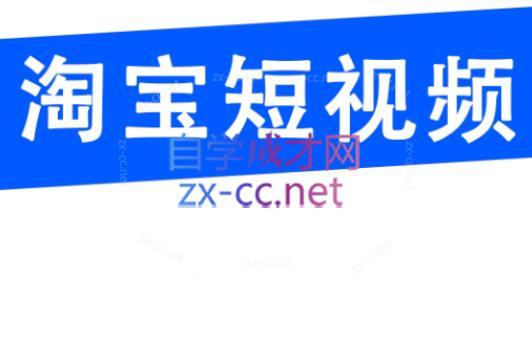 创北电商·淘宝短视频店群(更新24年2月)-心语项目网