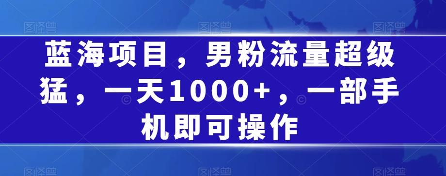 蓝海项目，男粉流量超级猛，一天1000+，一部手机即可操作【揭秘】-心语项目网