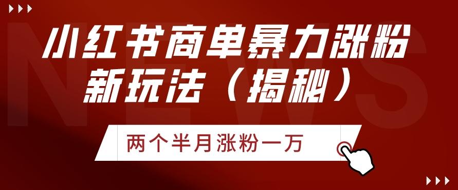 小红书商单暴力涨粉新玩法两个半月涨粉一万（揭秘）-心语项目网