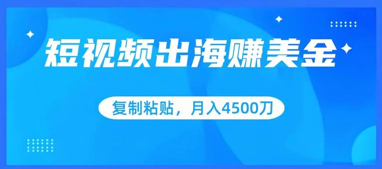 短视频出海赚美金，复制粘贴批量操作，小白轻松掌握，月入4500美刀【揭秘】-心语项目网