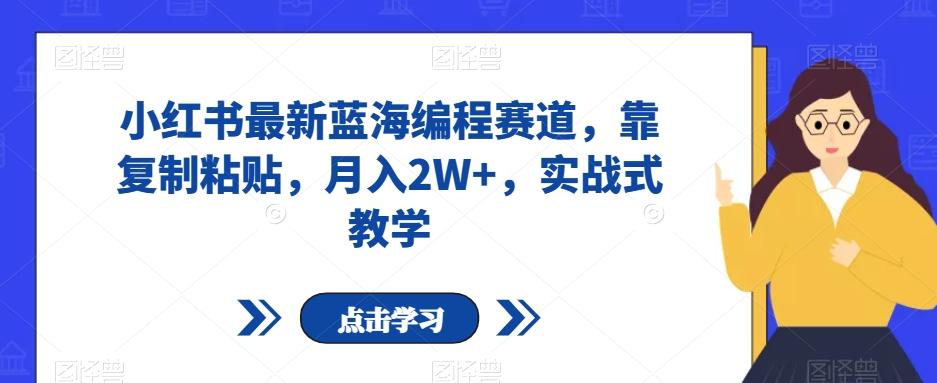 小红书最新蓝海编程赛道，靠复制粘贴，月入2W+，实战式教学【揭秘】-心语项目网