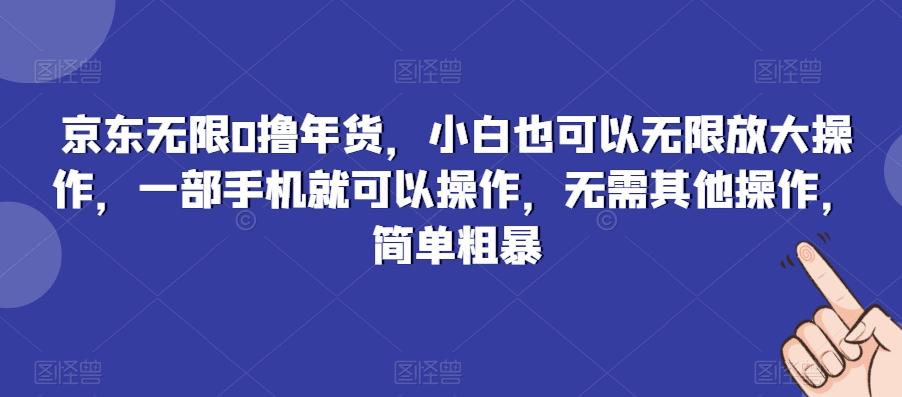京东无限0撸年货，小白也可以无限放大操作，一部手机就可以操作，无需其他操作，简单粗暴-心语项目网